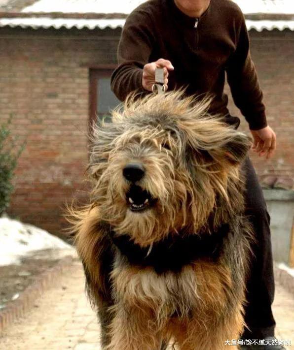 8月13到底是什么日子？新手该怎么玩转？