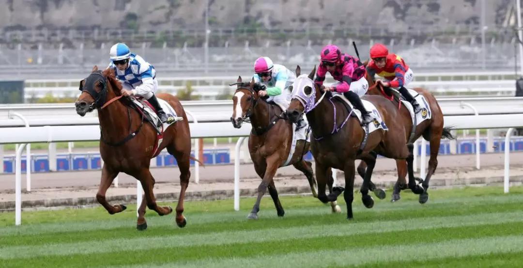 新手小白如何用v5菱悦拍出专业级短视频？