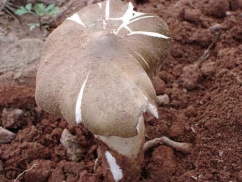 为什么老人说农历五月十三必须带伞出门？