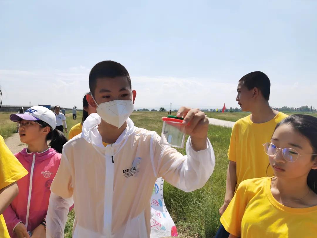 养沙鼠真的比仓鼠省心吗？