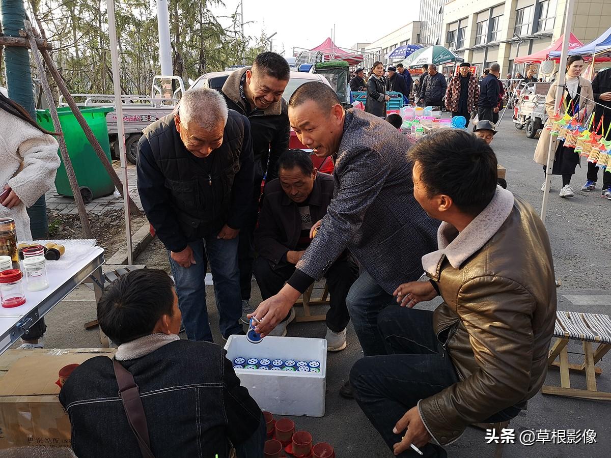 蝈蝈养殖真的能在家轻松实现吗？