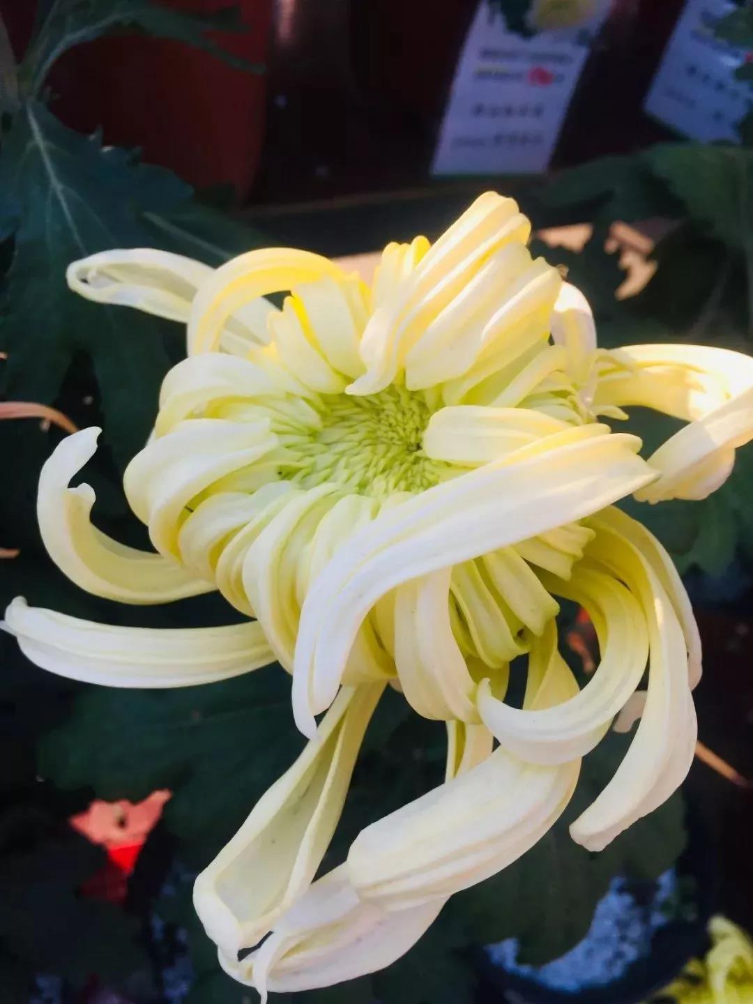 免费名字打分网站真的靠谱吗？