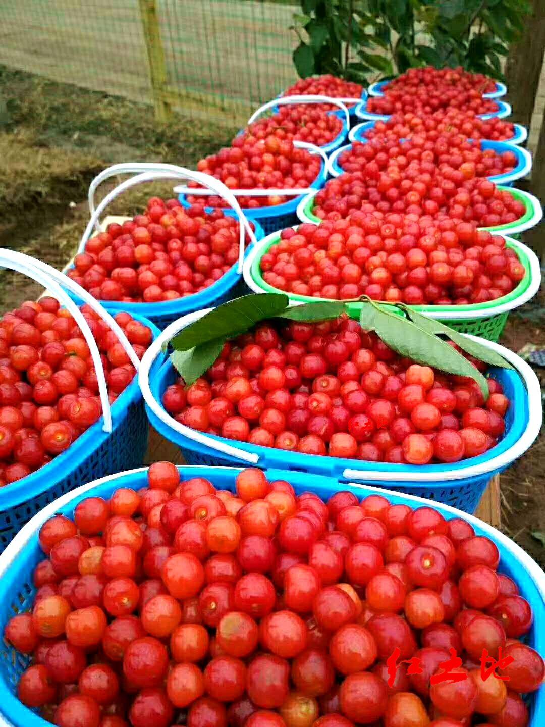 4月9日到底藏着什么新手福利？