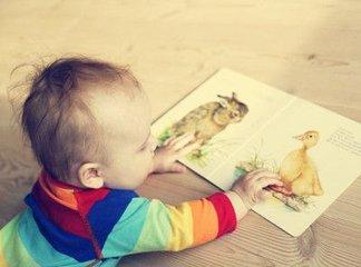 手把手教你让八哥开口说话？