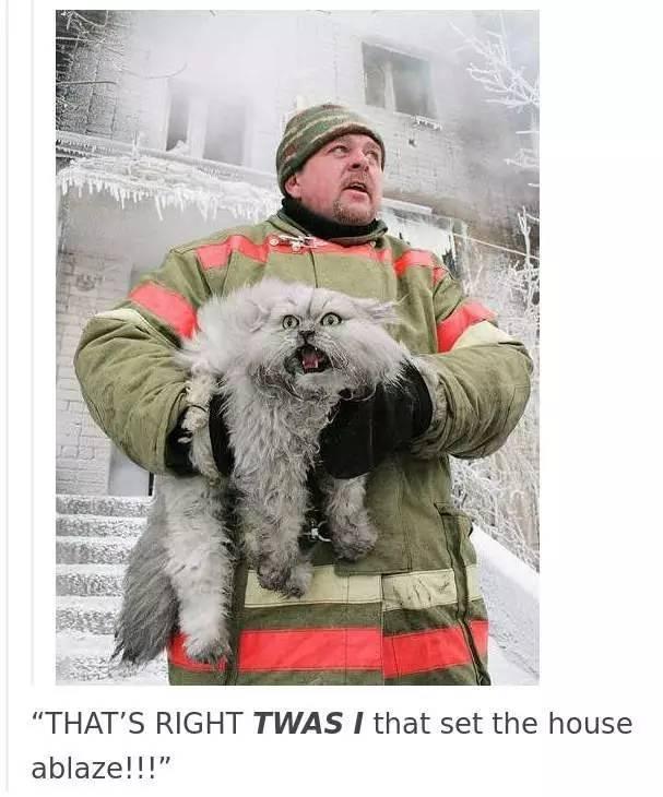 新手如何在俗人岛华人论坛安全 开车 ？