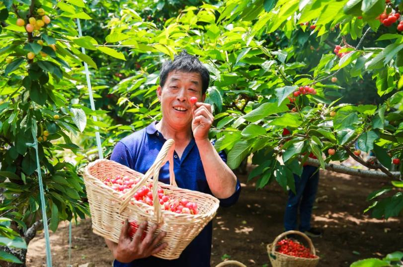 淘宝新人如何用100块买到1000块的东西？
