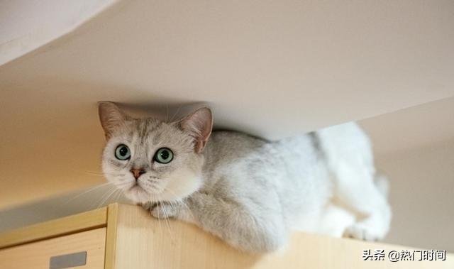 梦见棉被到底预示着什么？