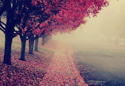 梦见结婚真的会走桃花运吗？周公解梦准不准？