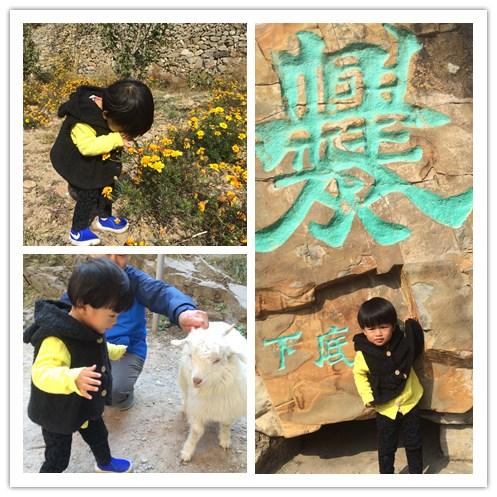 川起旅行真的适合新手小白吗？