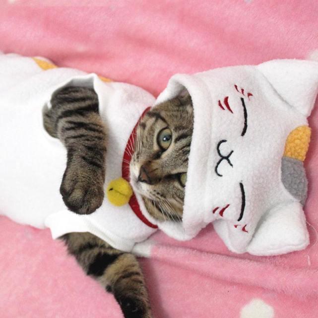 淘宝补单全攻略：最新最全的补单教程与技巧分享