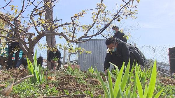 淘宝违规扣分多久能清零？