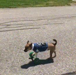 1985年9月21日出生的人命运如何？详细解析命理特点