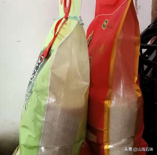 松鼠为什么能成为森林里的囤粮高手? 松鼠为什么能成为森林里的囤粮高手?