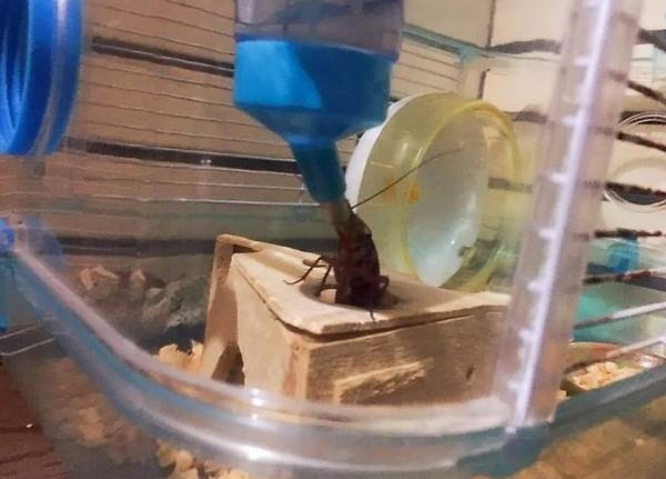 为什么别人扫到友善福像喝水，我扫到想摔手机？