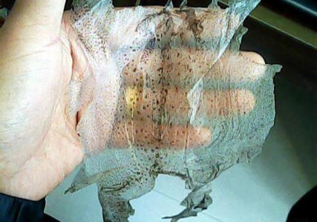 蟾衣凭什么能卖到上万元一张？