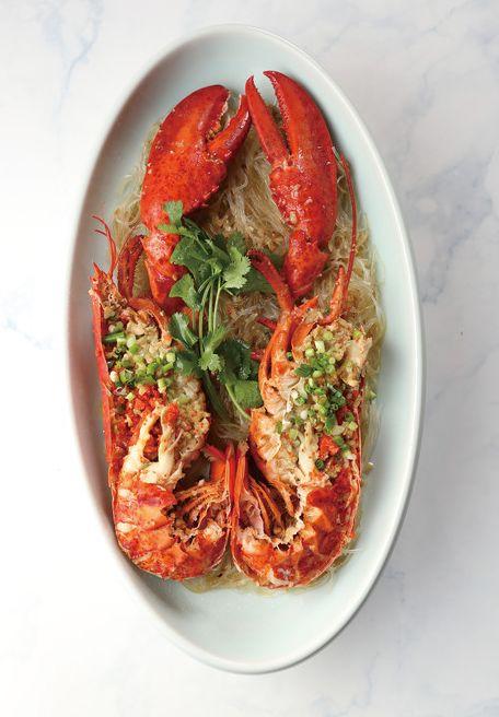 新手养波斯顿梗真的会踩雷吗？