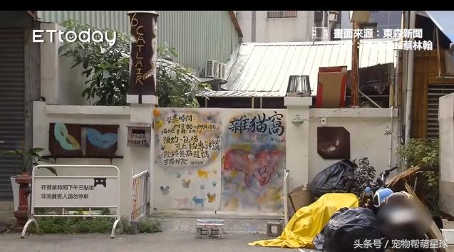 听说开淘论坛能赚钱？新手小白千万别踩这5个坑！