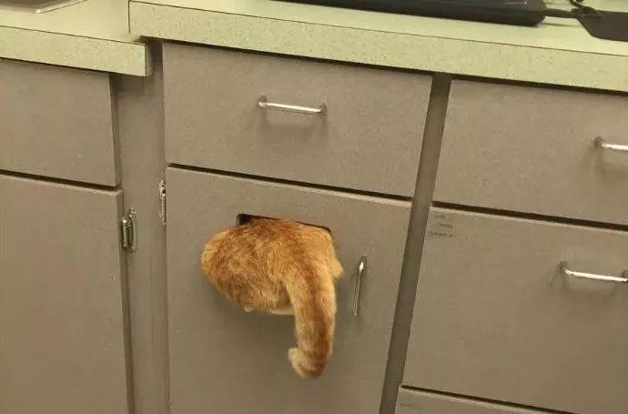 这个生僻字你会读吗？昶字到底有什么特殊含义？