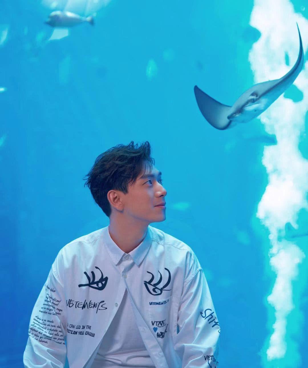 亲吻鱼真的会接吻吗？