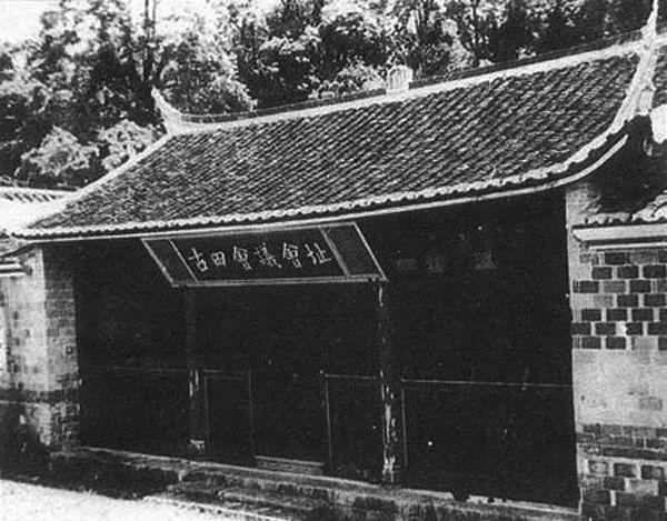 火玫瑰蜘蛛为啥突然狂踢毛？新手必看紧急处理攻略！