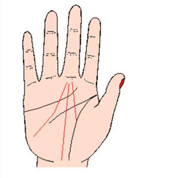 淘宝上9.9包邮的柠檬绿茶敢买吗？