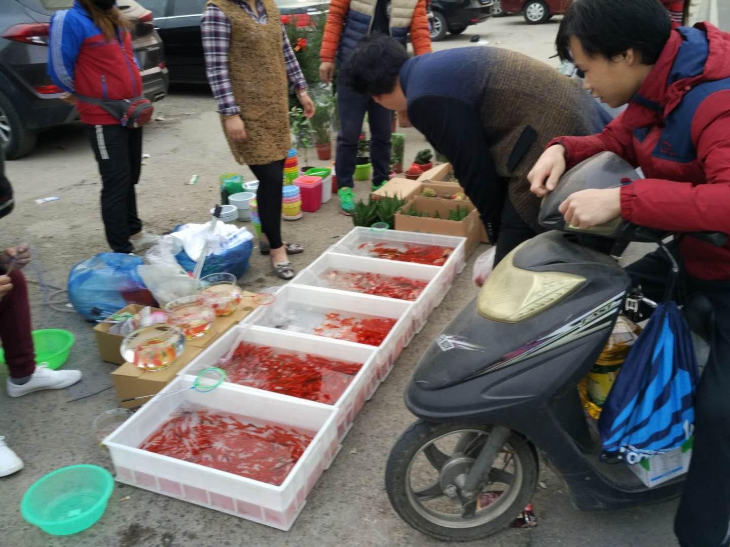 两元店进货真的能靠薄利多销赚钱吗？