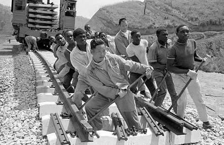 波奇宠物生活全方位关爱指南，打造宠物健康快乐生活