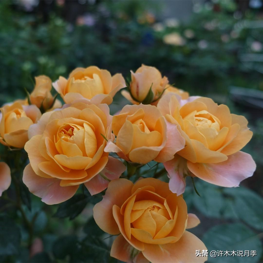 网购新手怎么买才能不花冤枉钱？