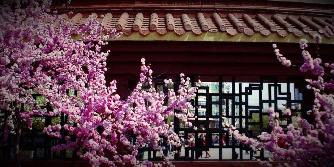 免费在线算命真的能测准你的运势吗？