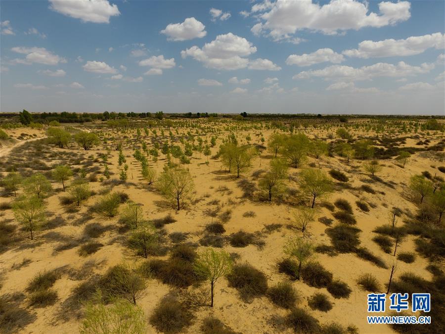 4月28日出生的人能赚大钱吗？