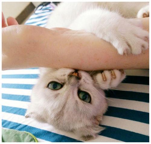 淘宝优化标题后搜索不到宝贝？原因分析与解决方法