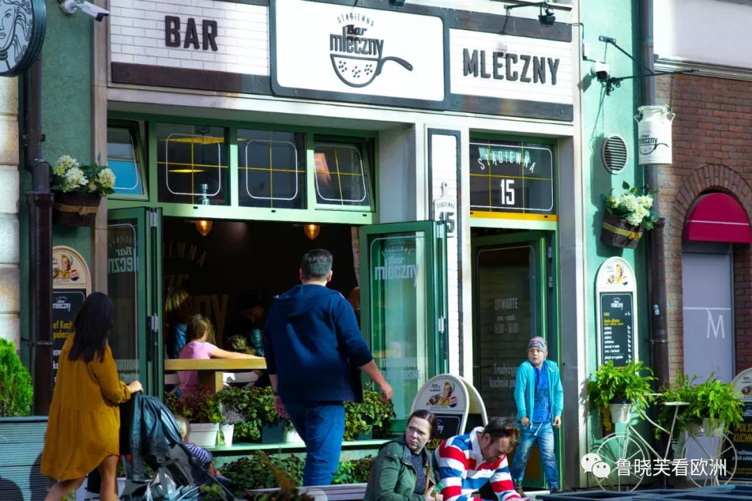 想了解波兰兔好养吗？其实波兰兔食物是以素食为主的