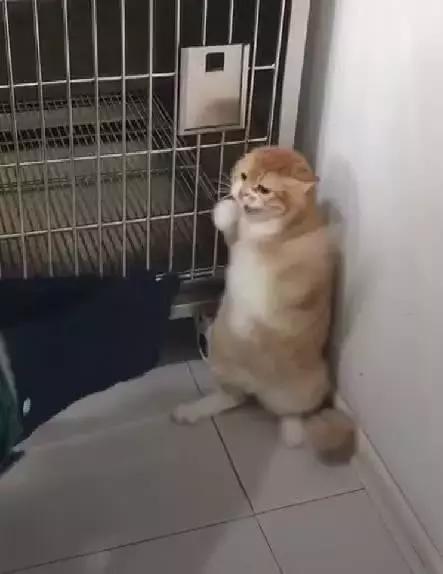 新手淘宝客如何注册及有效引流技巧全攻略