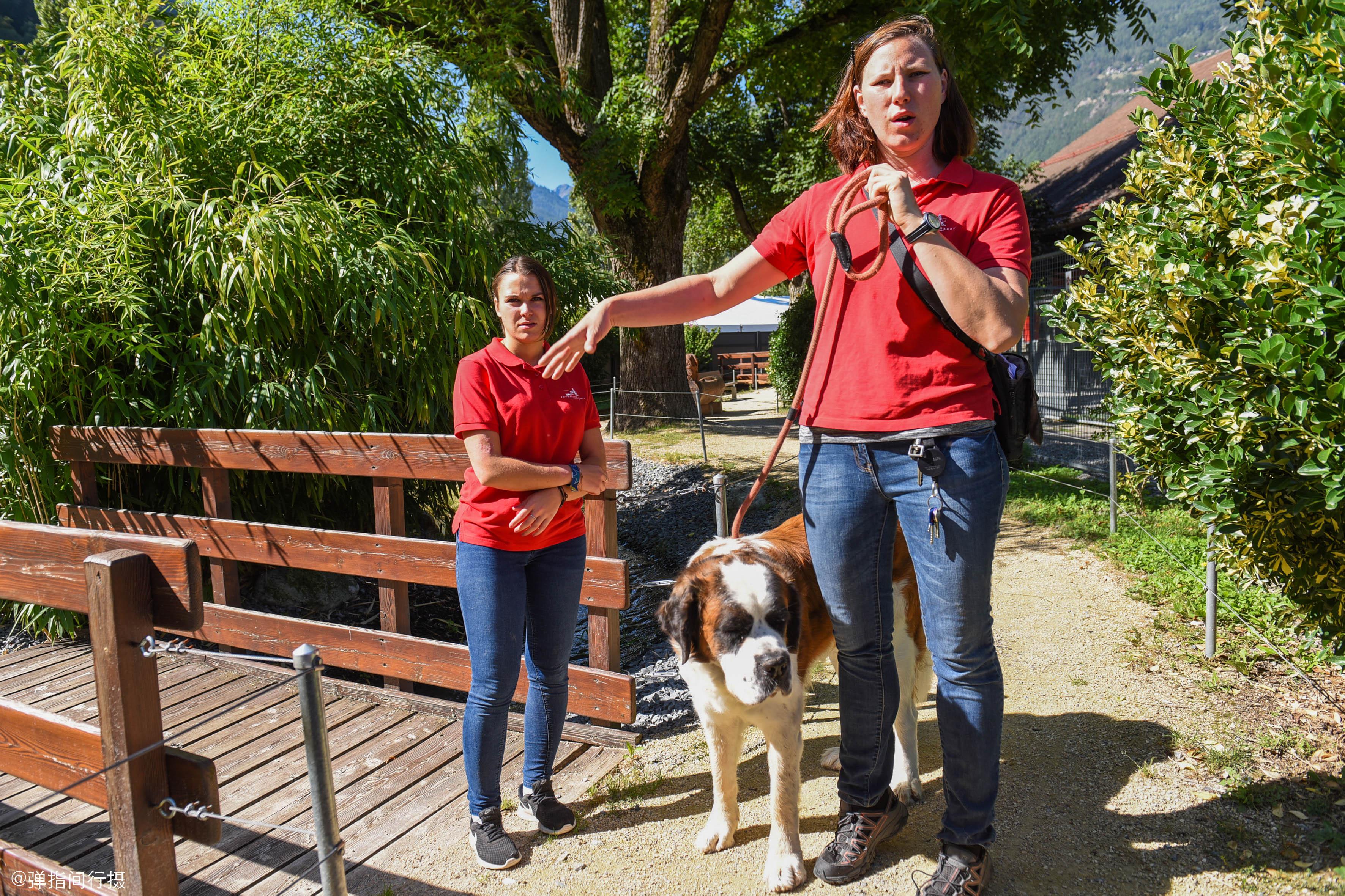为姓马的男孩精选20个独特好听的名字推荐