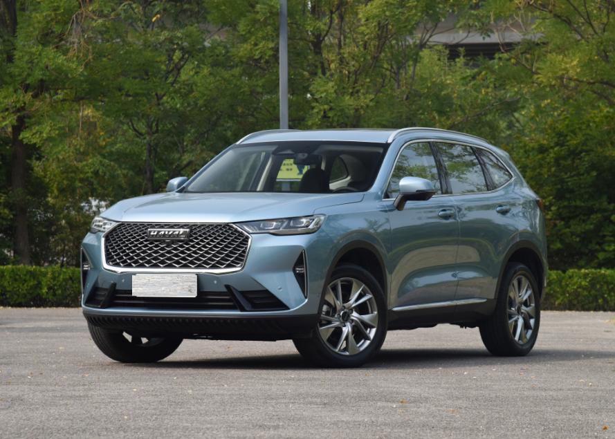 周公算命到底准不准？新手必看避坑指南