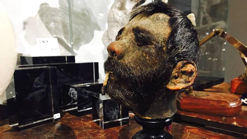 快速了解亚马逊荷兰站：开店是好选择吗？