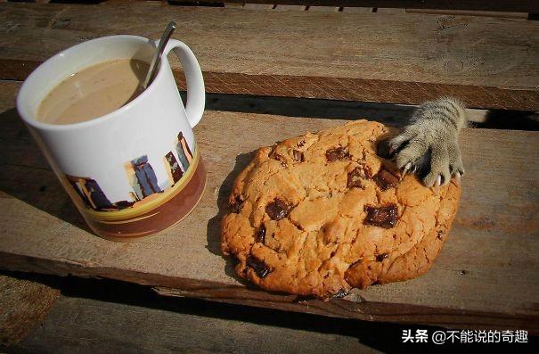 淘宝年中大促怎么买最划算？