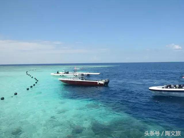 为什么你的绿廋总打不中人？新手必看实战技巧大公开！