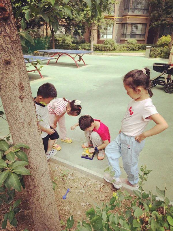 海底真能养出会游泳的青蛙吗？