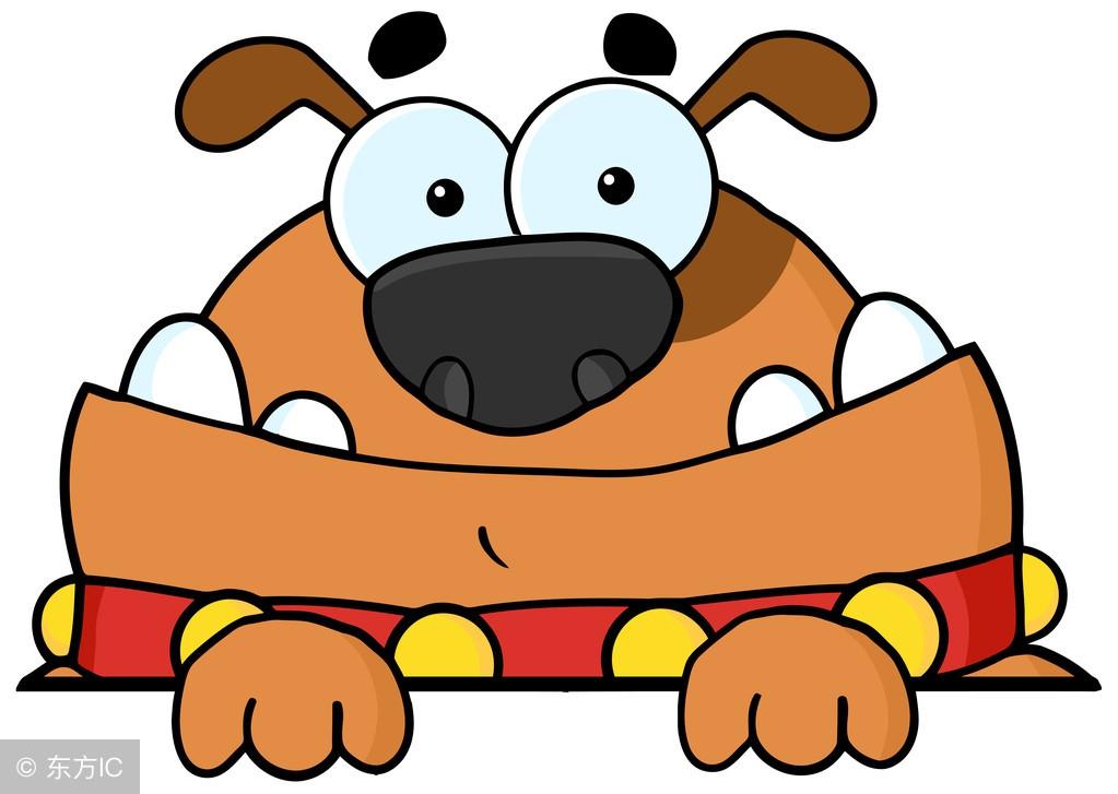 天生穷相代表什么生肖？