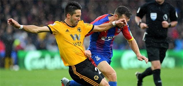 六角恐龙饲养全攻略：如何正确照顾你的六角恐龙宠物