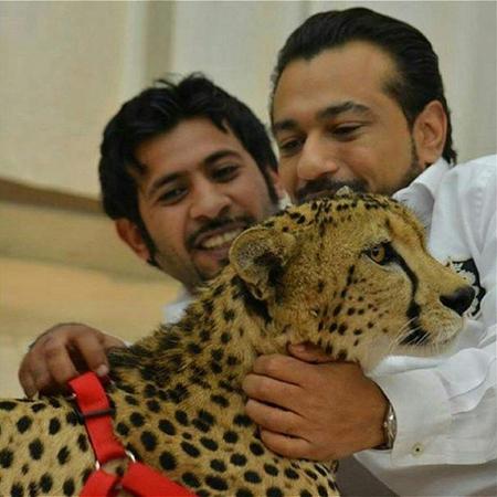 在家养蜥蜴真的比养猫狗容易吗？