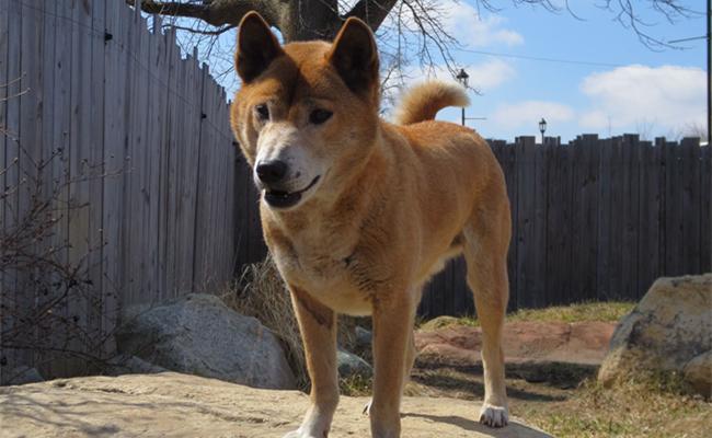 淘宝精选里的商品真比普通搜索更划算吗？