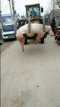 为啥蚊子总爱追着你咬？