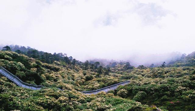 新手如何在抖音快速涨到1500粉？