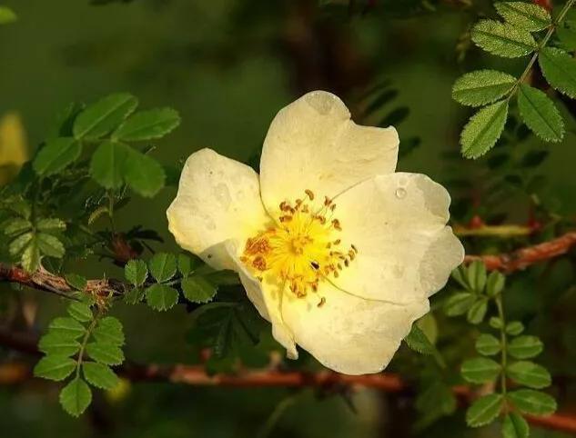 淘宝搜索权重低的原因揭秘:你可能犯了这些错误 淘宝搜索权重低的原因揭秘:你可能犯了这些错误