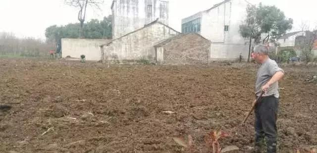 新手如何正确发布任务不被坑？