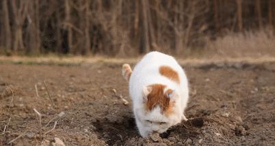 王海传新手怎么开局才能不当炮灰？