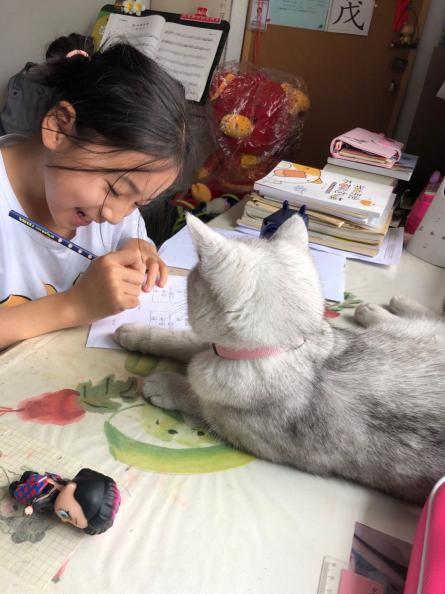 第一次养蝎子为什么总活不过两周？