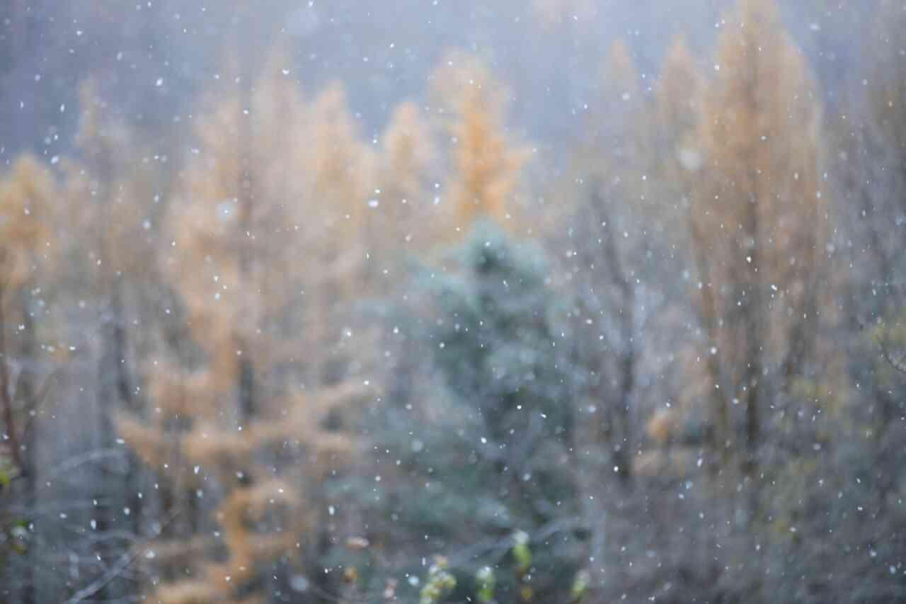 十月十日到底藏着多少你不知道的秘密？